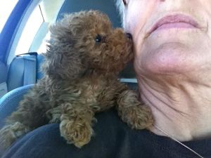 Coco giving Peggy kisses